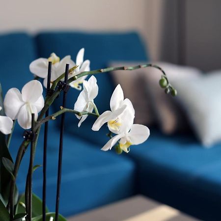 Apartament Turkus Szczecin Eksteriør bilde