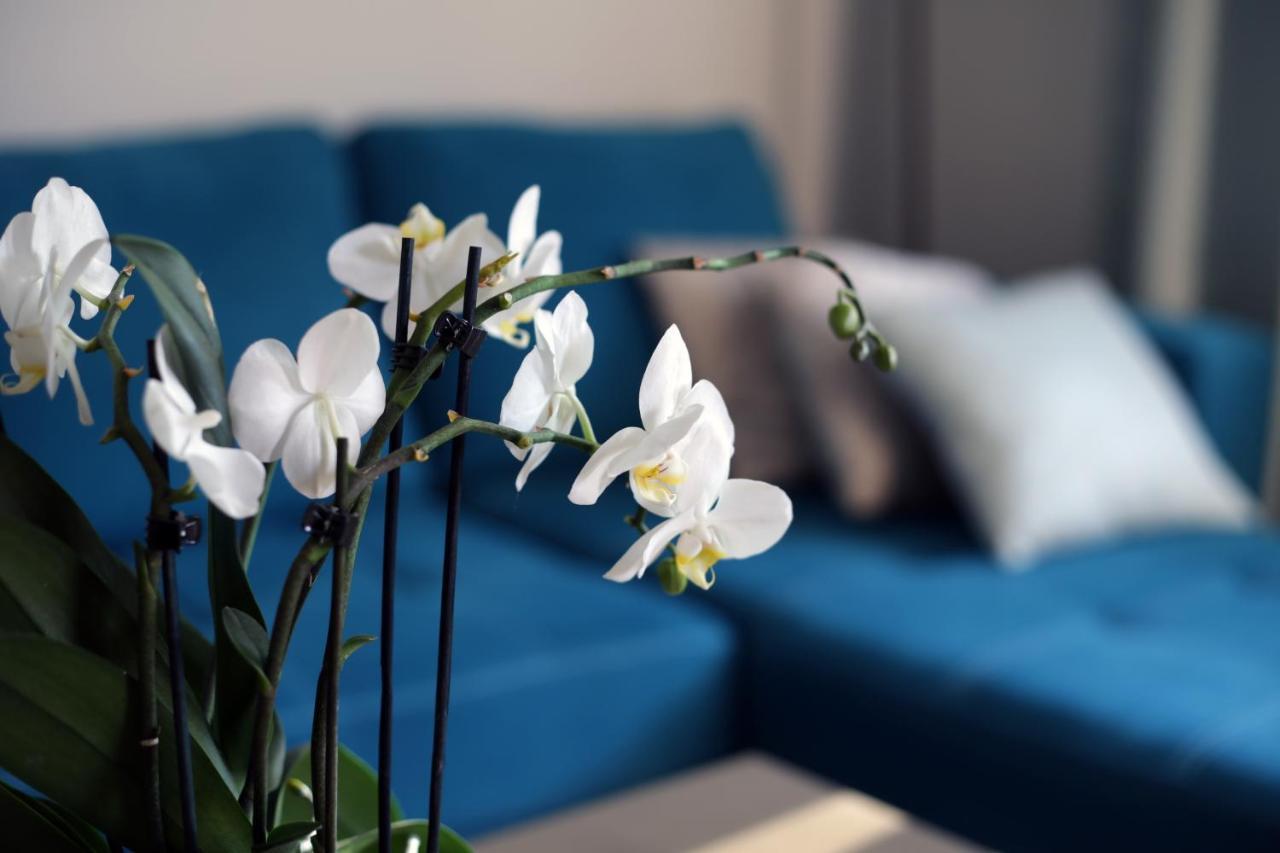 Apartament Turkus Szczecin Eksteriør bilde